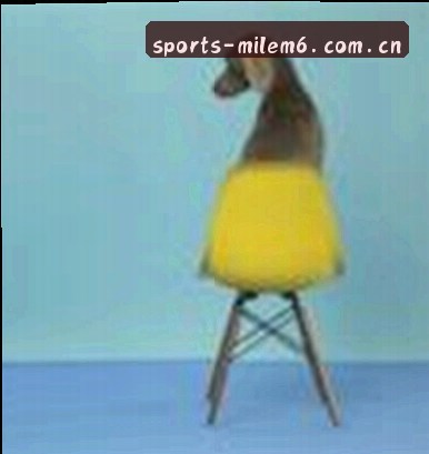 周敏